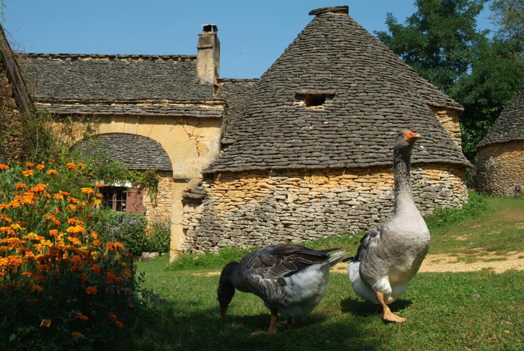 Madame Vacances - Residence Du Golf D'Armagnac Eauze Стая снимка